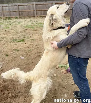 Frosty in TN - Gives Great Big Hugs!