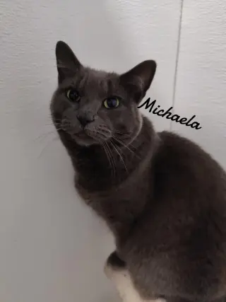 Michaela