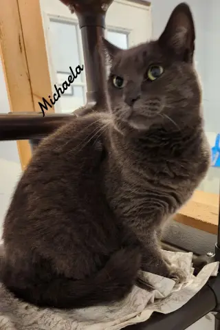 Michaela