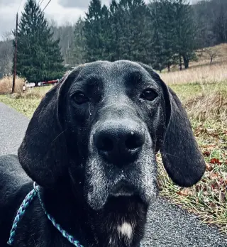 Duke