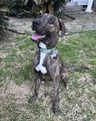 Jekyll