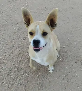 Luna
