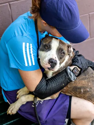Pretty Princess FOSTER NEEDED TOO!