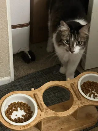 Darla