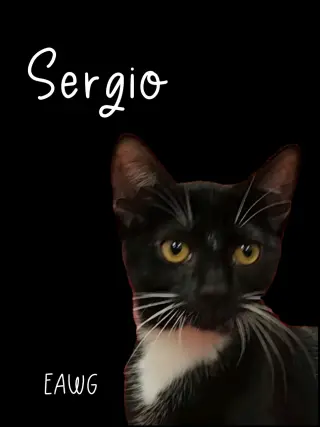 Sergio
