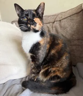 Ella