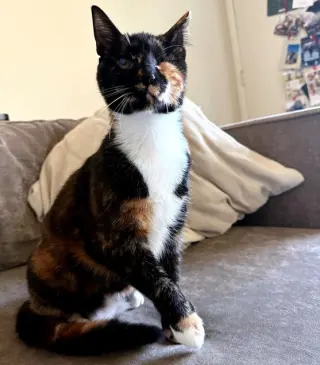 Ella