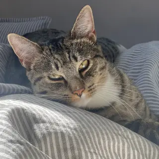 Bitsy