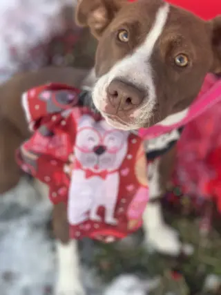 Wanda