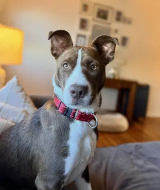 Wanda