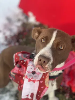Wanda