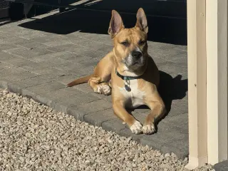 DAKOTA