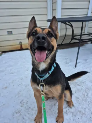 Frankie