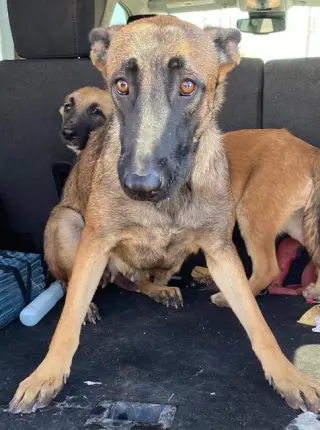 Becca - AZ - COURTESY POST