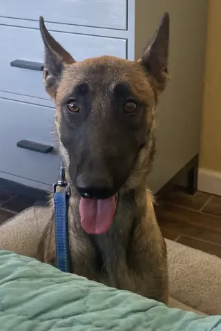 Becca - AZ - COURTESY POST
