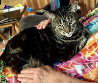 Gabby