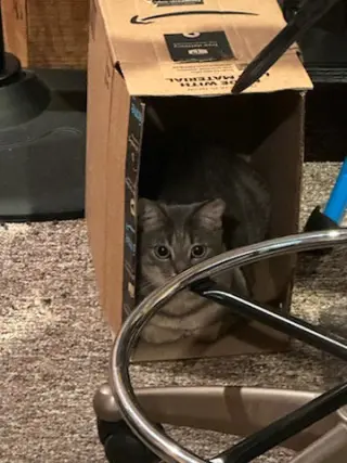 Charlie