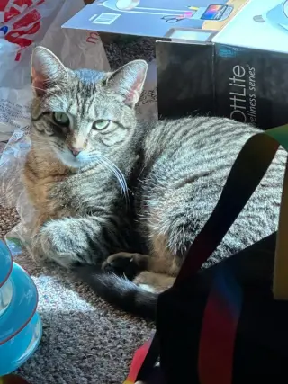 Charlie
