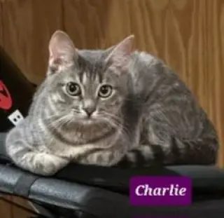 Charlie