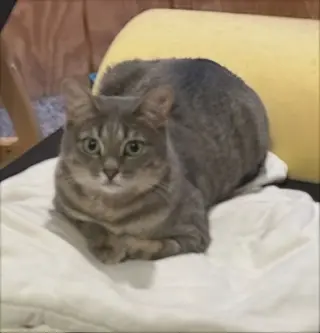 Charlie