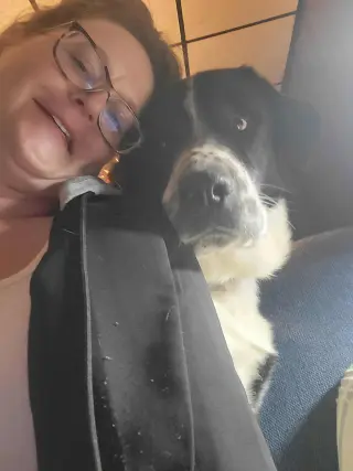 Scout