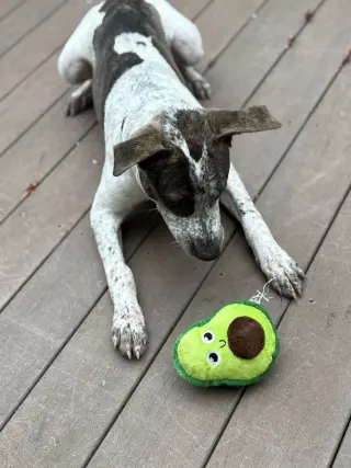 BEAU