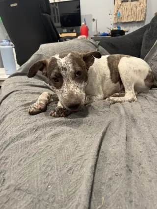 BEAU