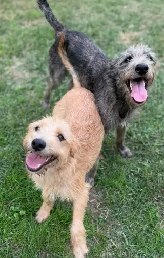 Andy and Benji