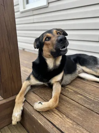 Fiyero