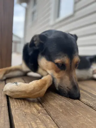 Fiyero