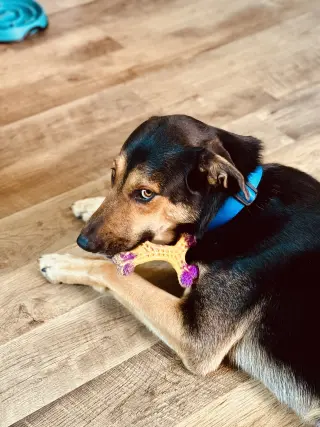 Fiyero