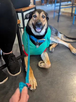 Fiyero