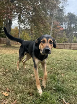 Fiyero