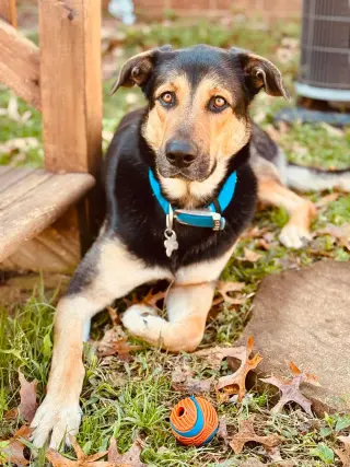 Fiyero