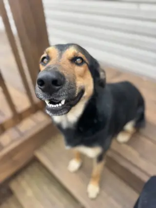 Fiyero