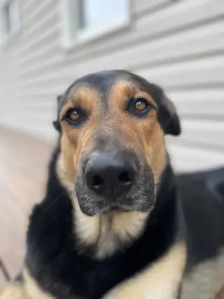 Fiyero