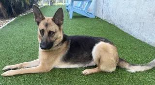 Kira