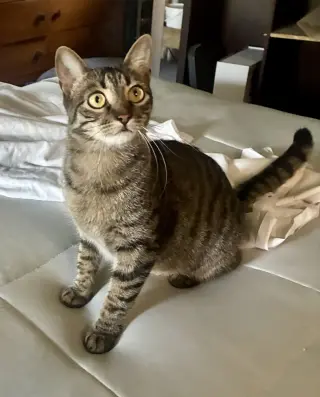 Rosie M