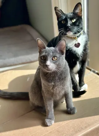 Misty and Mama Bella
