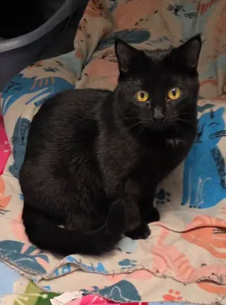 Julie
