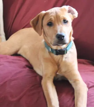 Theodore