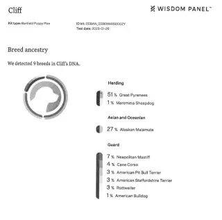 Cliff