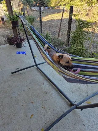 DIRK
