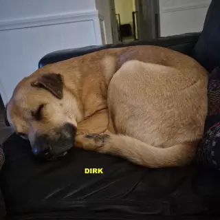 DIRK