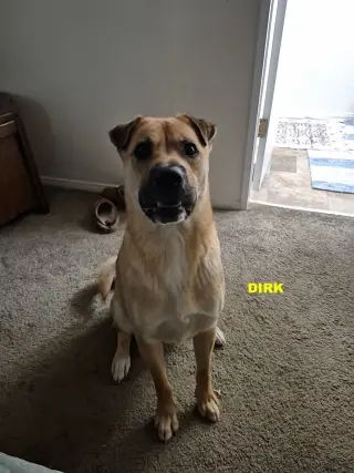 DIRK