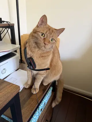 Carl