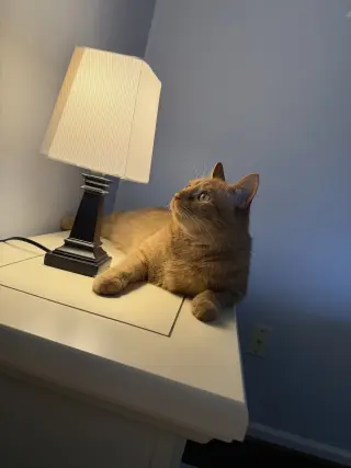 Carl