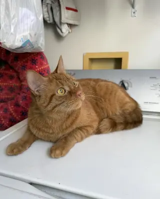 Carl