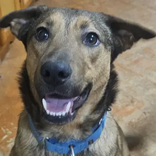 Buster