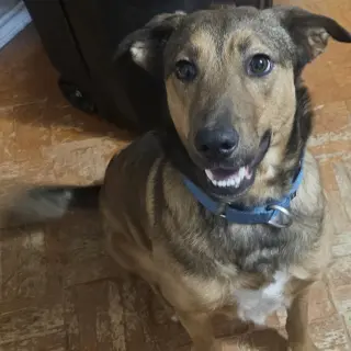 Buster